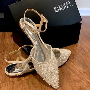 Badgley Mischka Carissa Embroidered Pointed Toe Flat Women’s size 10